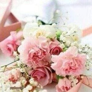 Meet your Posher, Perla